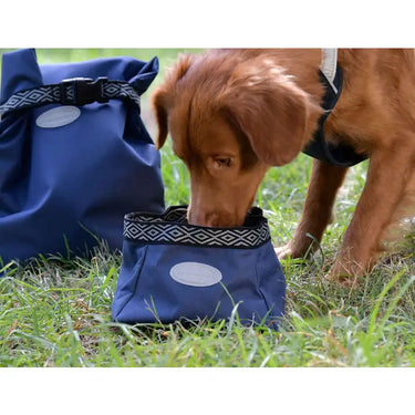 Buy Weatherbeeta Explorer Collapsible Dog Water / Feed Bowl | Online for Equine