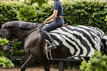 Bucas Buzz-Off Riding Zebra Rug