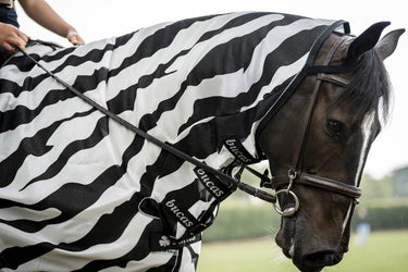 Bucas Buzz-Off Riding Zebra Rug