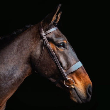 Cameo Equine Brown Hunt Bridle 2 Browbands