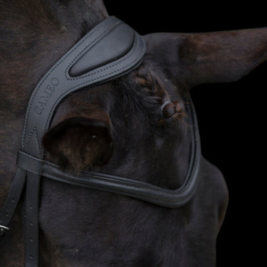Cameo Equine Black Anatomic Comfort Bridle