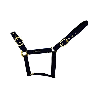 Cameo Equine Black Suede Padded Headcollar