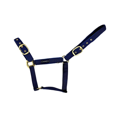Cameo Equine Navy Suede Padded Headcollar
