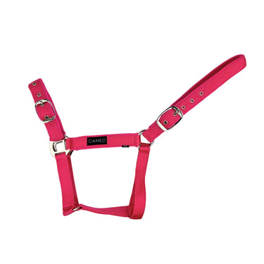 Cameo Equine Pink Suede Padded Headcollar