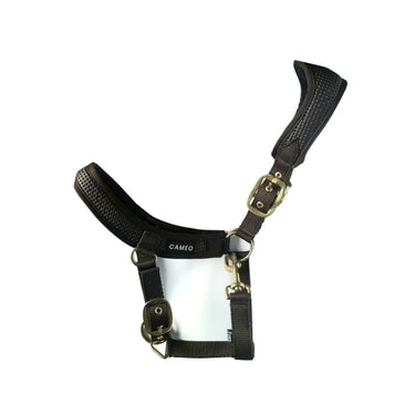 Buy Cameo Equine Brown Anatomic Headcollar| Online for Equine