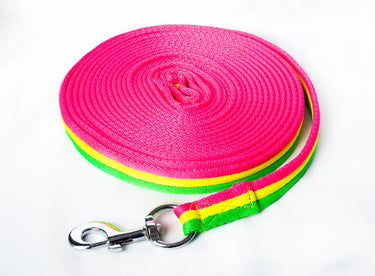 Cameo Equine Neon Pink / Yellow Elite Lunge Line