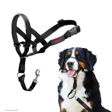 Buy Halti Headcollar Black | Online for Equine