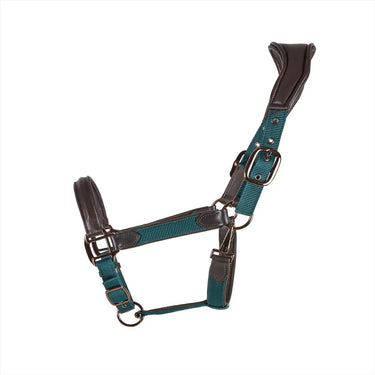 Cameo ComfortPro Headcollar| Online For Equine