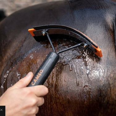 Cameo Curved Ergonomic Sweat Scraper| Online For Equine