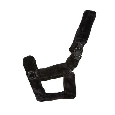 Cameo Deluxe Headcollar| Online For Equine