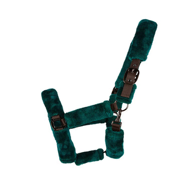 Cameo Deluxe Headcollar| Online For Equine