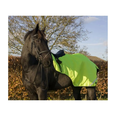 Cameo Equine 3/4 Exercise Sheet| Online For Equine