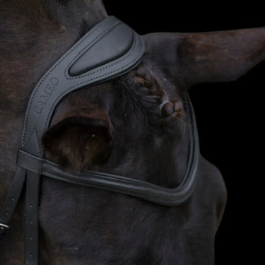 Cameo Equine Black Anatomic Comfort Bridle| Online For Equine
