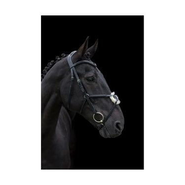 Cameo Equine Black Anatomic Grackle Bridle| Online For Equine