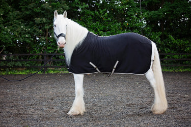Cameo Equine Black Elevate Show Rug| Online For Equine