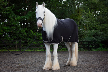 Cameo Equine Black Elevate Show Rug| Online For Equine