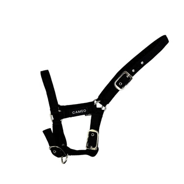 Buy Cameo Equine Black Foal Headcollar| Online for Equine