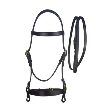 Cameo Equine Black In Hand Bridle and Lead| Online For Equine