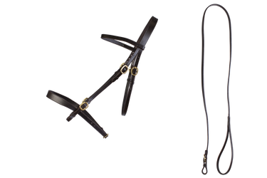 Cameo Equine Black In Hand Bridle and Lead| Online For Equine