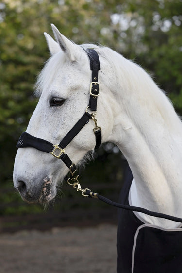 Cameo Equine Black Suede Elite Headcollar & Leadrope| Online For Equine