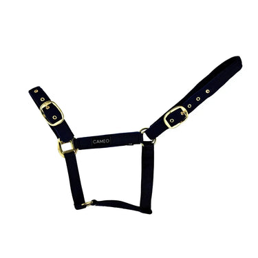 Cameo Equine Black Suede Padded Headcollar| Online For Equine