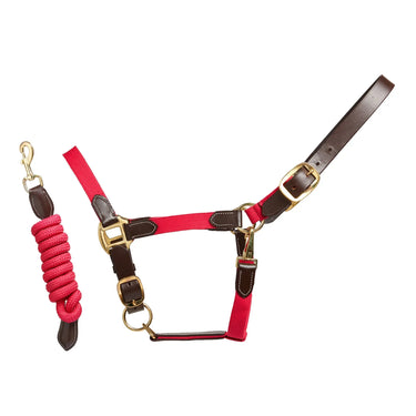 Cameo Equine Cerise Web/ Leather Headcollar & Lead| Online For Equine