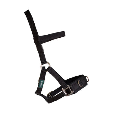 Cameo Equine Cob Lunge Cavesson| Online For Equine