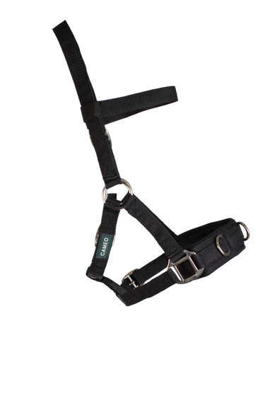 Cameo Equine Full Lunging Cavesson| Online For Equine