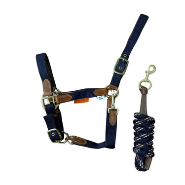 Buy Cameo Equine Performance Leather Point Headcollar & Leadrope| Online for Equine