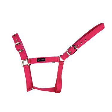 Cameo Equine Pink Suede Padded Headcollar| Online For Equine