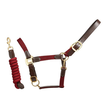 Collant D'équitation Cameo Equine Performance – Neuf – Confort Et Tenue