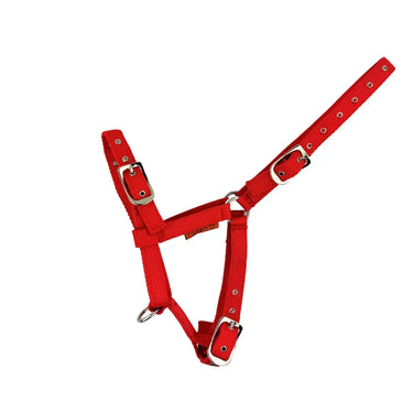 Buy Cameo Equine Red Foal Headcollar| Online for Equine