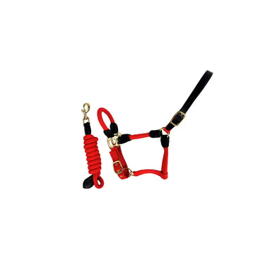 Cameo Equine Red Rope Leather Headcollar And Leadrope| Online For Equine