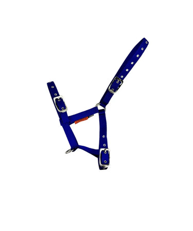 Buy Cameo Equine Royal Foal Headcollar| Online for Equine