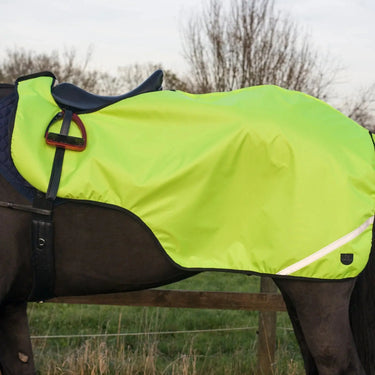 Cameo Equine Wrap Around Exercise Sheet| Online For Equine