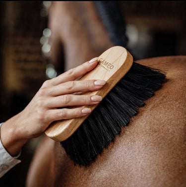 Cameo Heritage Flick Brush| Online For Equine