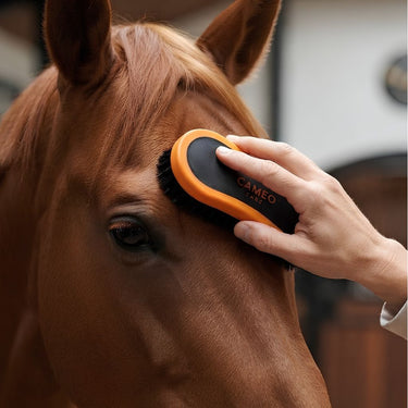 Cameo Precision Face Brush| Online For Equine