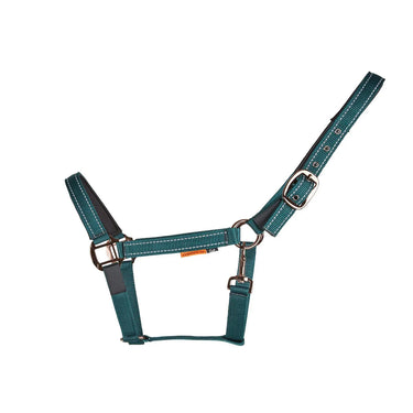 Cameo Sentinel FieldSafe Headcollar| Online For Equine