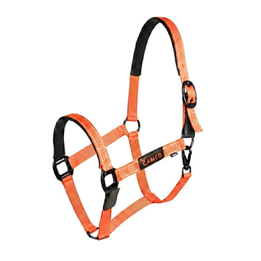 Cameo Sentinel FieldSafe Headcollar| Online For Equine