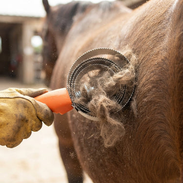 Cameo Spring Metal Curry Comb| Online For Equine