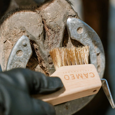 Cameo The Hoof Hero Elite Edition| Online For Equine