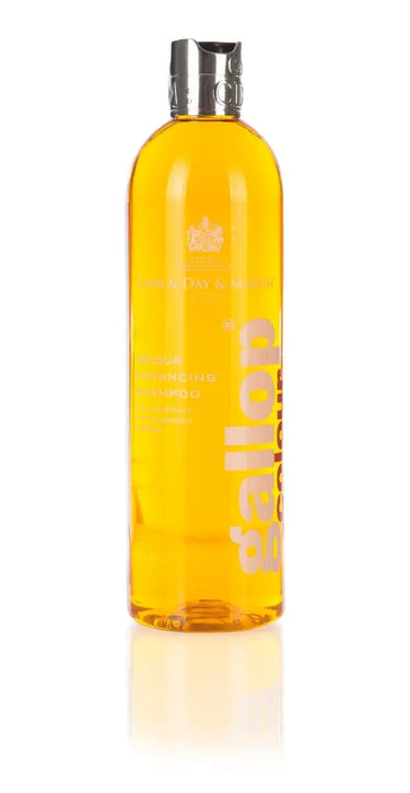 Buy Carr & Day & Martin Colour Enhancing Shampoo| Online for Equine