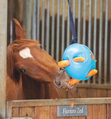 Buy Carrot Ball| Online for Equine