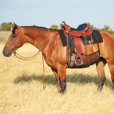 Cashel Crusader Quiet Ride Belly Guard| Online For Equine