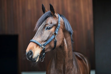 Catago Alea Reflective Logo Halter| Online For Equine