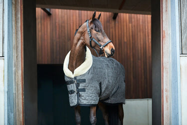 Catago Alea Reflective Logo Halter| Online For Equine