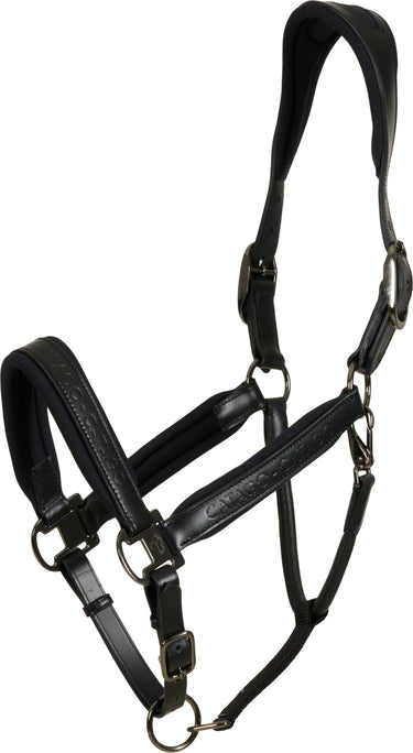 Catago Brielle Leather Logo Halter| Online For Equine