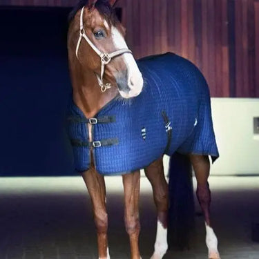 Buy Catago Cooler Rug| Online for Equine