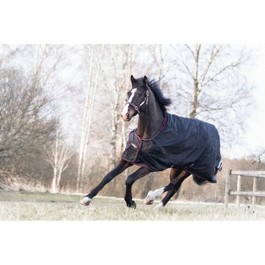Buy Catago Dual Pro Standard Neck Turnout Rug| Online for Equine