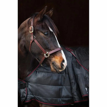 Buy Catago Dual Pro Standard Neck Turnout Rug| Online for Equine
